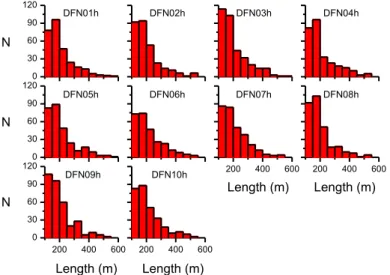 Figure 12.  Frequency distribution of the fracture lengths in ten DFN realizations. 