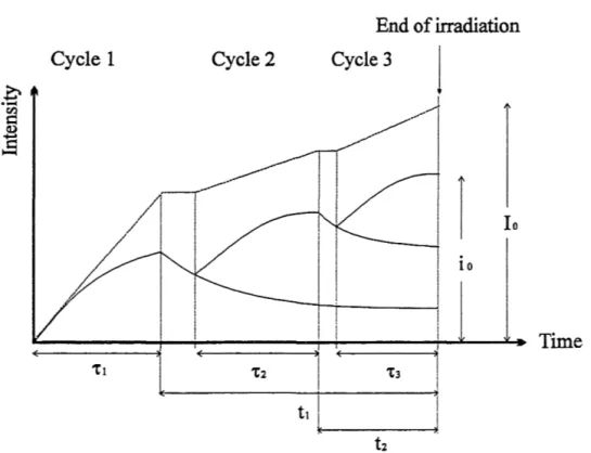 Figure  2.5.  Production  of a  direct fission  product without  (dashed  line)  and with  (full  line)  decay 