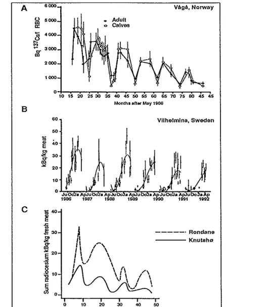 Fig 14  A:  Seasonal variation in red blood cell (RBC) Cs-137 activity in domestic reindeer  from Vaga, Norway
