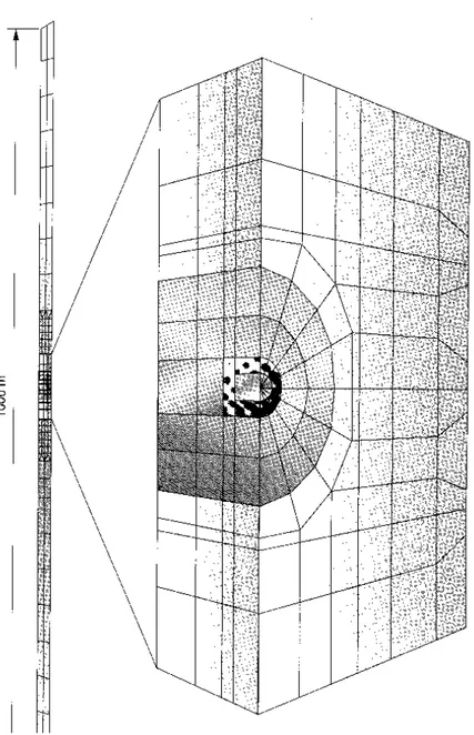 Figure 5: Three-dimensional finite-element mesh (from[114])