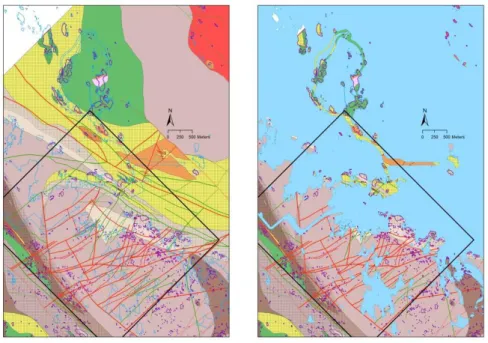 Figure 2-8: a. Geological map of the Forsmark area (SKB GIS data - displaying lithologies and 