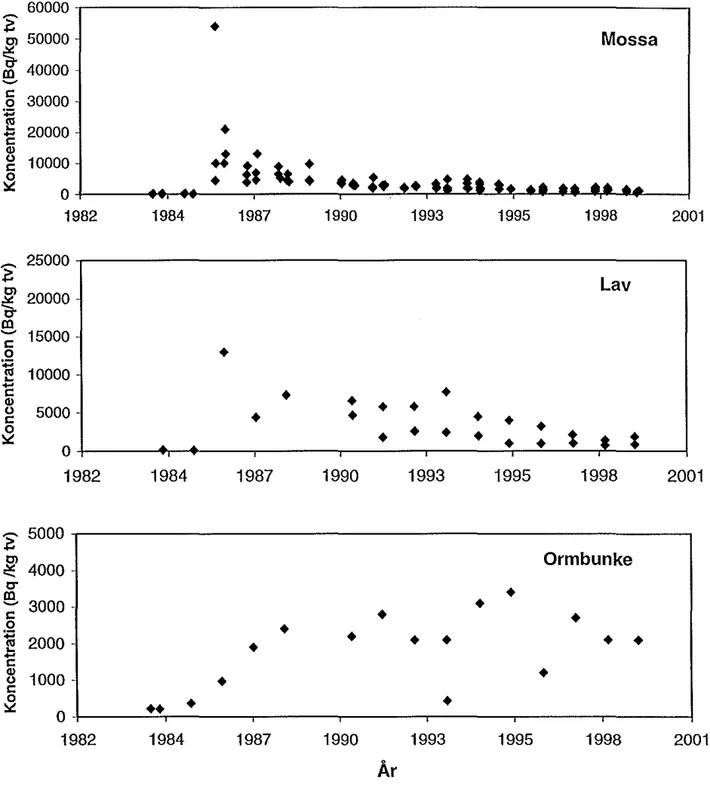 Figur 1. Koncentration av  137  Cs I mossa, lav och ormbunke Insamlat vid Forsmark under åren 