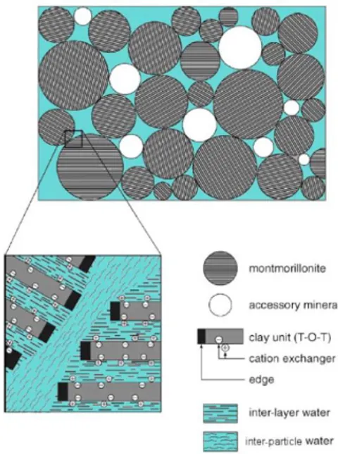 Figure  2.4.2_1 . Schematic representation of the microstructure of compacted bentonite (from 