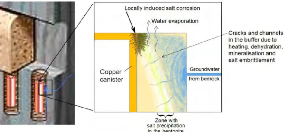 Figure 1:  Expected salt enrichment in the buffer and on the canister surface with accelerated 