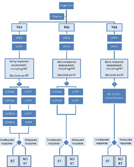 Figure 1 : Flowchart for the EuroNet-PHL-C1 protocol. TG: treatment group (for definition of treatment groups, see 