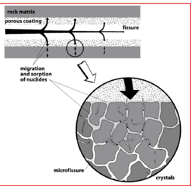 Figure 5: Matrix diffusion in the micro-fissures in the rock matrix (from Elert, 2004) 