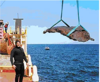 Figure 14  Bob Barron and the 17-ton copper plate he found diving 