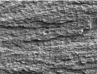 Figure 1 below shows the typical appearance of a DHC fracture surface in Zr2.5Nb. This