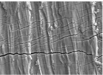 Figure 2. Fine cracks observed in association with the main crack. 1000x.