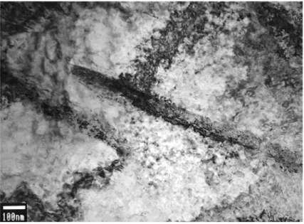 Figure 5. The microstructure in Zr2.5Nb. A hydride can be seen in the middle of the figure