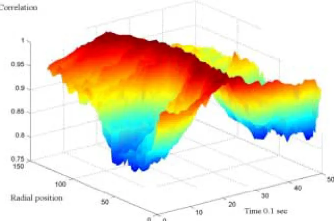 Fig. 8. The radial dependence of the temporal correlation functions.