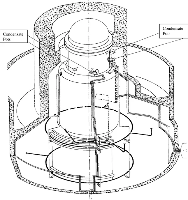 Figur 2.1 Tryckuttag, kondensationskärl och impulsledningar för tryck och nivåmätsystemen i Barsebäck 2.