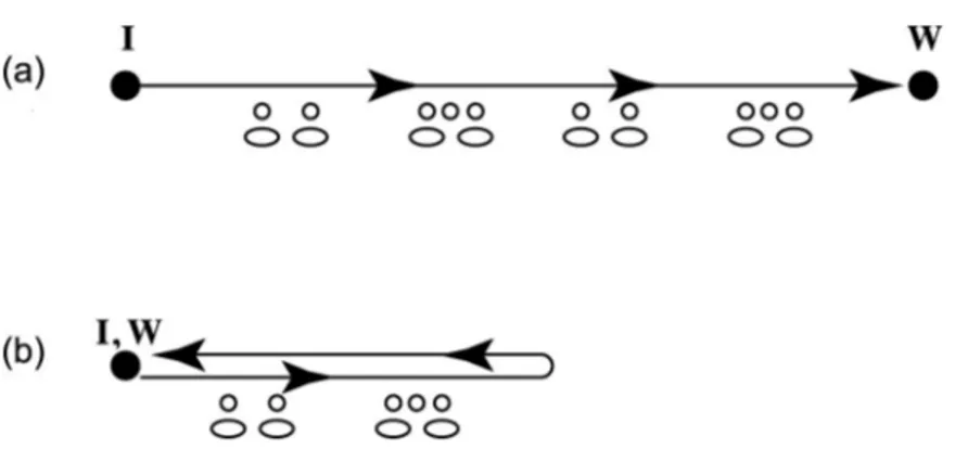 Figure 1.  Schematic diagram of particle travel path during a two-well test (a) and a SWIW test (b)