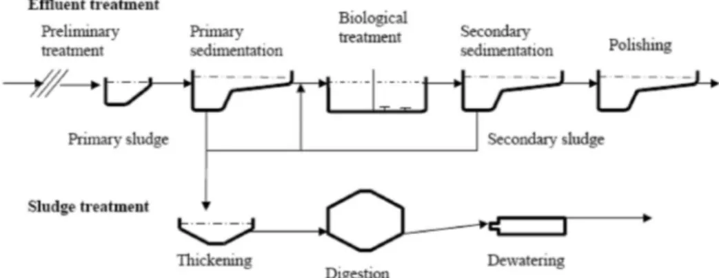 Figure 1.  Schematic representation of the Uppsala WWTP.  