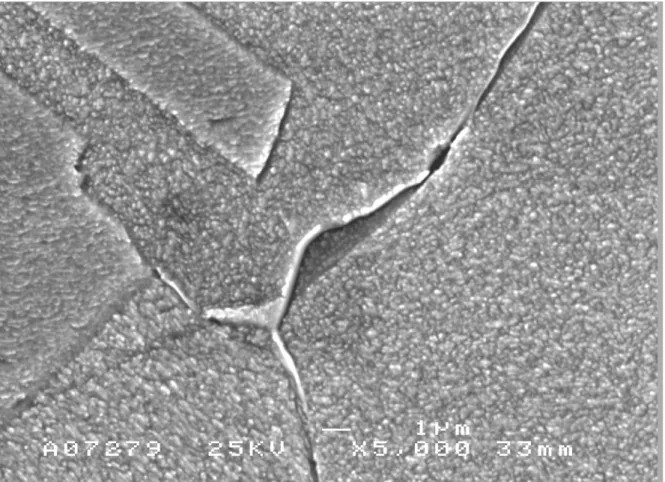 Fig 2. The notch tip region with a grain boundary phase, after 5000 h of testing (46 MPa/150 ° C)