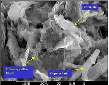 Figure 7:  Scanning electron microscope image of uranium mill tailings indicating the 