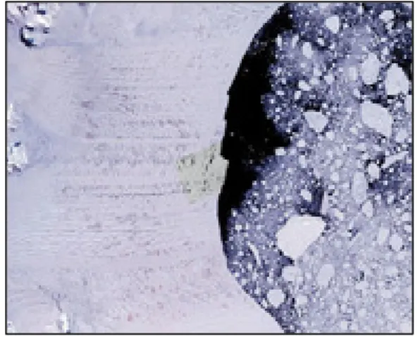 Figure 3: SAR image of Larsen’s shelf,  Antarctica, by the Canadian satellite  RADARSAT-1