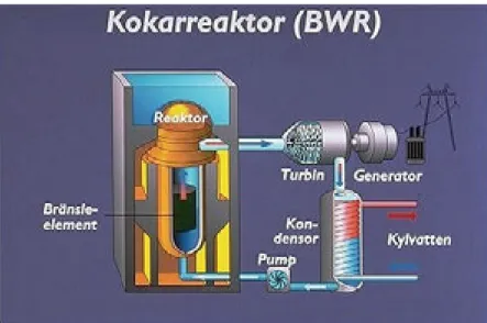Figure 2.4. Principskiss över en kokvattenreaktor. 
