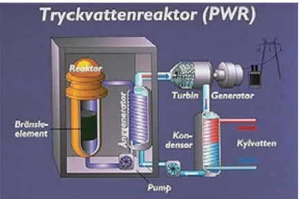 Figure 2.5. Principskiss över en tryckvattenreaktor. 
