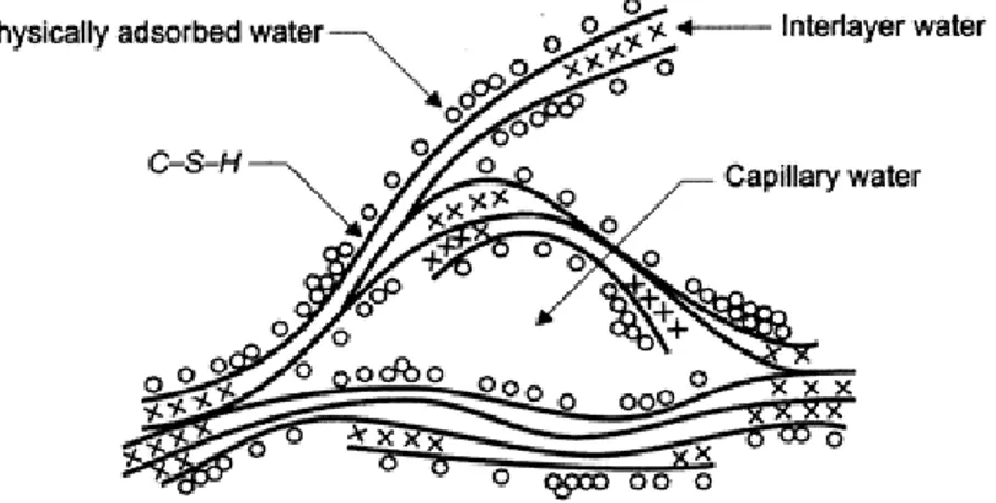 Figur 2: Struktur hos C–S–H gel i cement (Neville, 1990). 