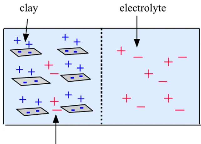 Figure 5  SKB’s view of the clay-electrolyte system.  The clay is seen as a ‘soluble  polyelectrolyte’, contributing positively and negatively charged ions to the clay-water  system