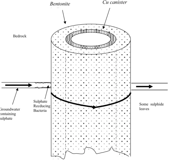 Figure 1.   Conceptual model for the coupling of sulphate reduction by microbes  and sulphide transport through bentonite buffer to copper canister