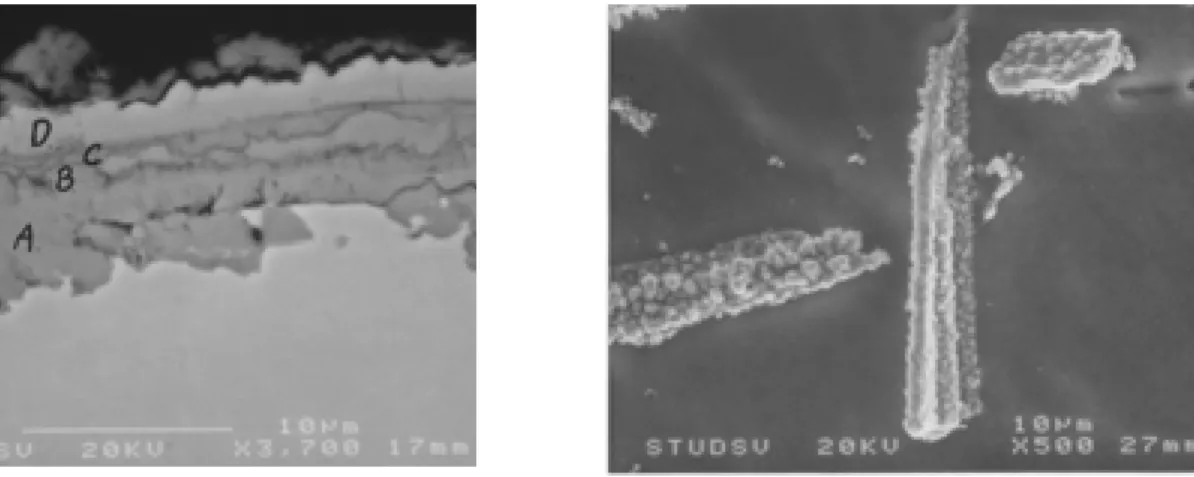 Figure 1  Morphology of layer and whisker growth on copper. A-D in the left hand picture  denote differently composed strata in the layer