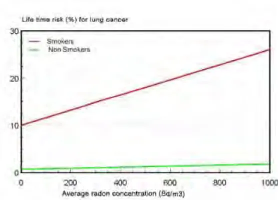 Figure 6. Lifetime risk of lung cancer as a result of exposure to radon gas. Calculated from a relative increased risk of 16% per 100 Bq/m 3  (Mjönes and Falk, 2002).