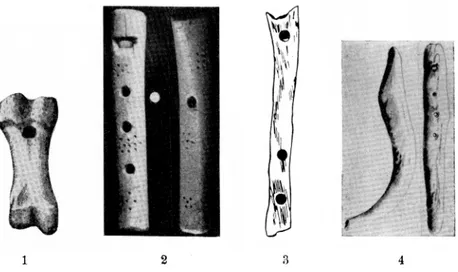 Abb.  1:  Phalangenflöte  aus  dem  Zehengliede  eines  Rentieres.  Länge:  5  cm;  nach  Forrer  ( s 