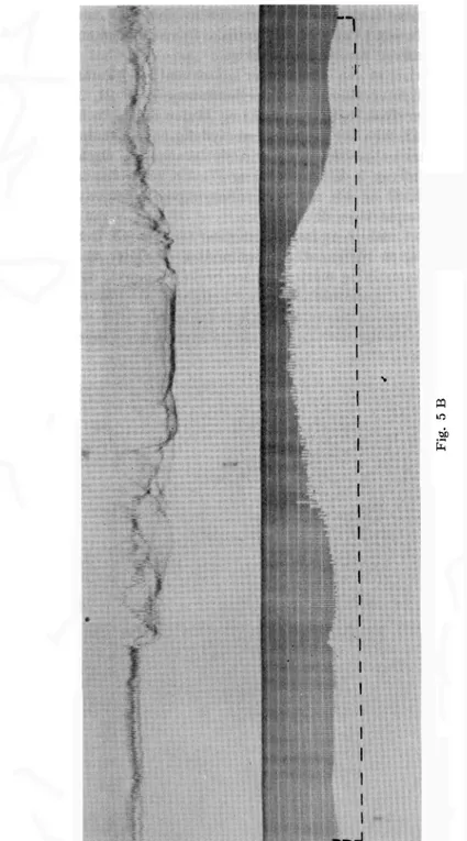 Fig.  5  A  og  5  B  (se  sid.  135 og  136) viser  tone  nr.  13  (den överste 