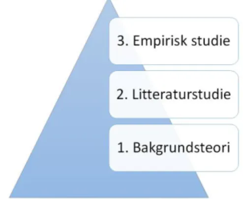 Figur 1: Illustration över metodens uppbyggnad