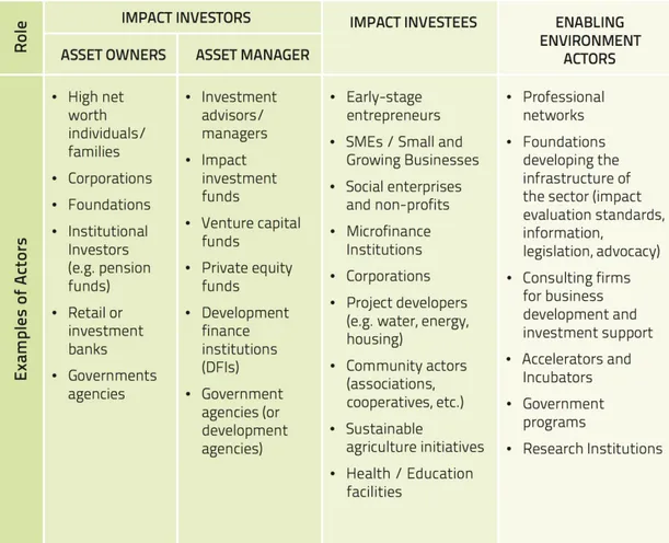 Figure 3 A brief overview of the impact-investing sector (UNDP 2014, 11) 