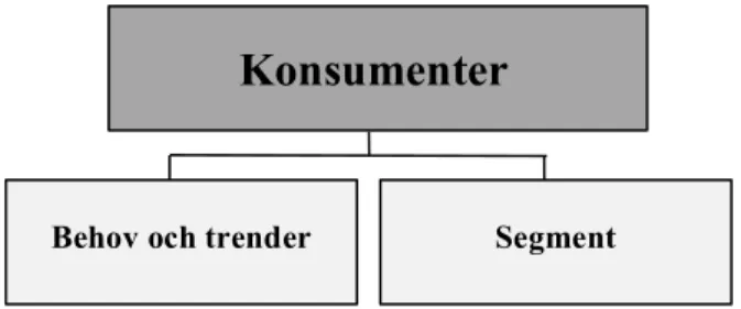 Figur 3.5. Vald modell för beskrivning och analys av marknadernas konsumenter. 
