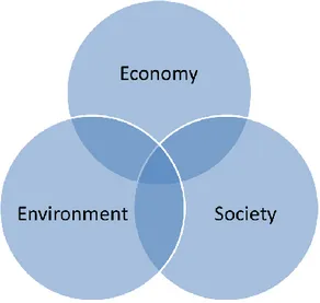 Figure 5: The triple bottom line 