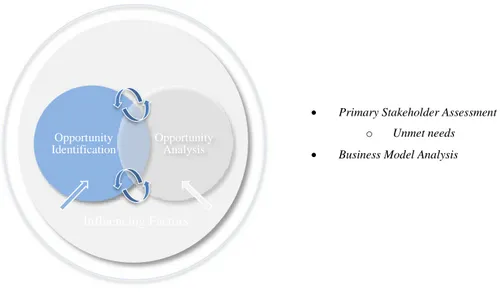 Figure 4.3 Visualization of the Opportunity Identification 
