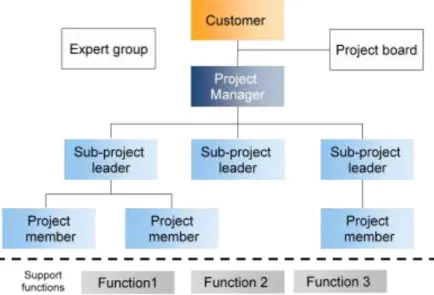 Figure 2 The Tetra Pak project organisation (internal material, 2012) 