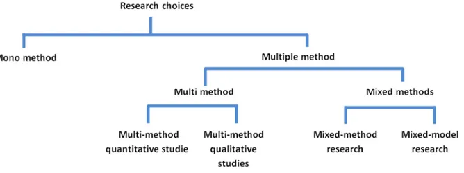 Figure 4: An overview of research choices 38   
