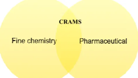 Figure 7. The fine chemistry and pharmaceutical industry are integrated (General  Market Study)   