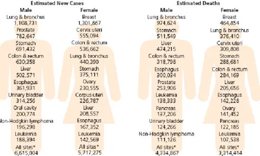 Figure 4.2 – Estimated new cancer cases and deaths worldwide year 2007. 132