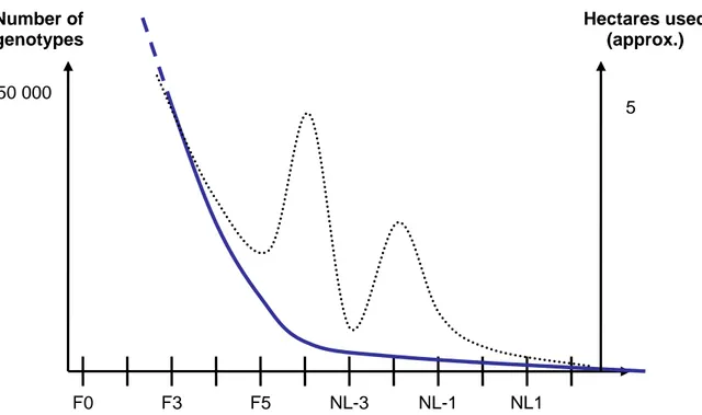 Figure 4. 3 A rough estimate of number of genotypes and required area usage over the PD process  