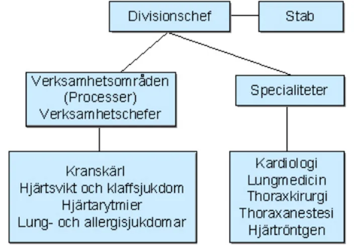 Figur 1:2 Organisationen vid Hjärt- och lungdivisionen. 15                                                  