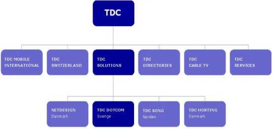 Figur 1.1   TDC Koncernen 