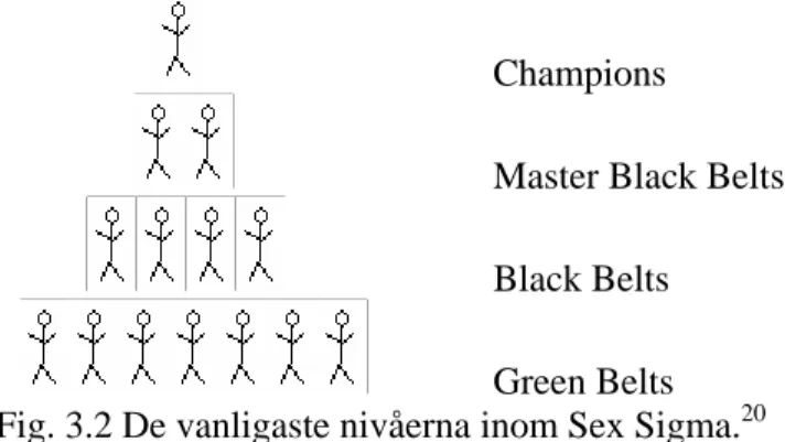 Fig. 3.2 De vanligaste nivåerna inom Sex Sigma. 20