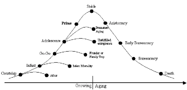 Figure 7: Adize’s Company Life Cycle xii    
