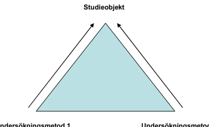 Figur 3.1 En principskiss över triangulering Källa: Björklund, M. &amp; Paulsson, U. (2003) 