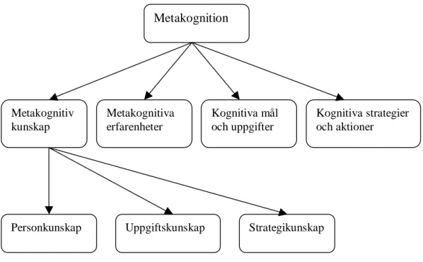 Figur 1. Flavells ramverk över metakognitiva beståndsdelar (Flavell, 1992).