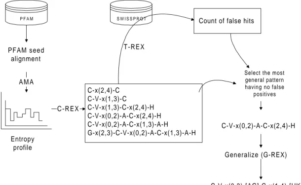 Figure 3.2. Overview of the pattern generation method.