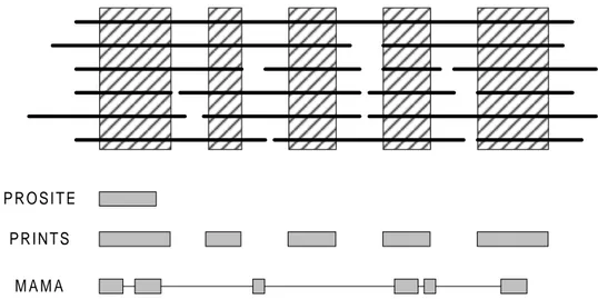 Figure 5.1  Comparison fo how patterns from PROSITE, PRINTS and MAMA correspond to the motifs in a multiple alignment.