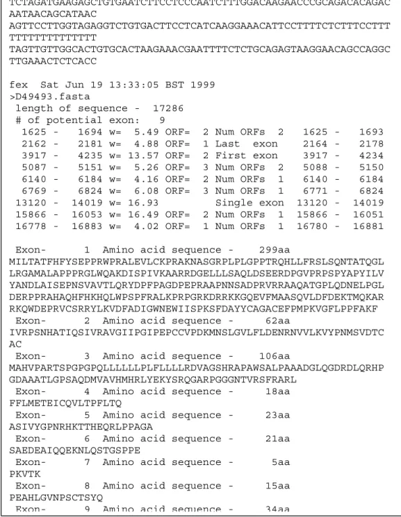 Figure 6. FEXH prediction of the human DNA sequence D49493. The predicted 