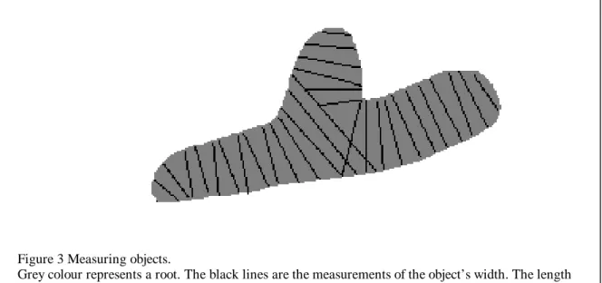 Figure 3 Measuring objects.  